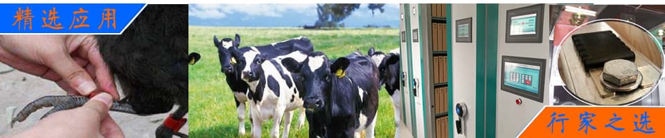 新型取代脲類促進(jìn)劑的分子設(shè)計(jì)，以應(yīng)對(duì)高tg、高韌性和高附著力環(huán)氧材料的開發(fā)